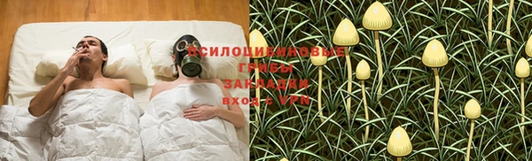стафф Бородино