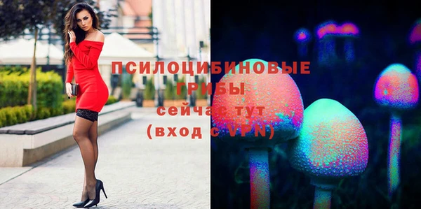 a pvp Бугульма