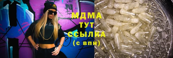 стафф Бородино