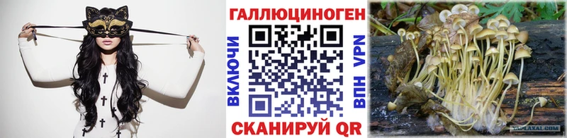 Купить где  Борисоглебск  Псилоцибиновые грибы GOLDEN TEACHER 